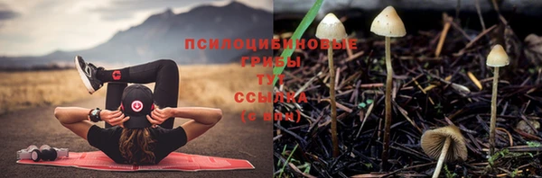 соль курить ск Покровск