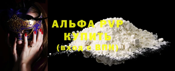 ECSTASY Покачи